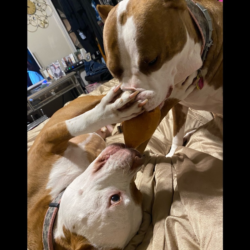 Meet your Posher, Sherry